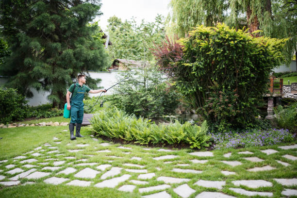 Professional Pest Control in Tahlequah, OK
