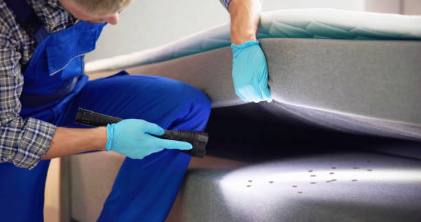 Pest Prevention Services in Tahlequah, OK