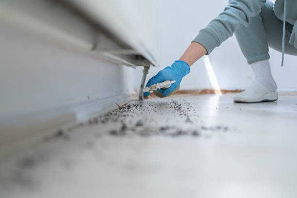 Best Pest Control Near Me  in Tahlequah, OK